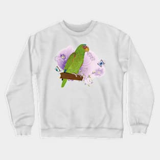 Amazon Frentialba Crewneck Sweatshirt